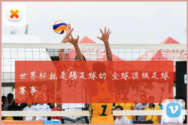世界杯就是踢足球的 全球顶级足球赛事