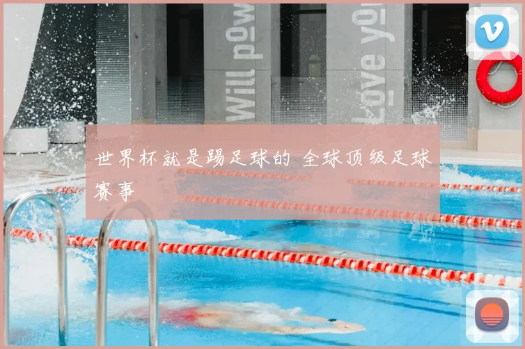 世界杯就是踢足球的 全球顶级足球赛事
