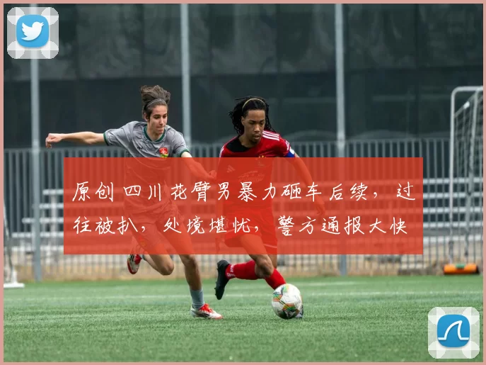 原创 四川花臂男暴力砸车后续，过往被扒，处境堪忧，警方通报大快人心