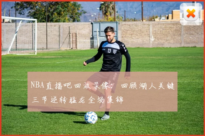 NBA直播吧回放录像：回顾湖人关键三节逆转猛龙全场集锦