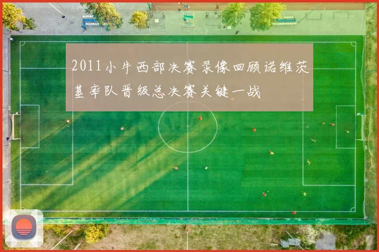 2011小牛西部决赛录像回顾诺维茨基率队晋级总决赛关键一战