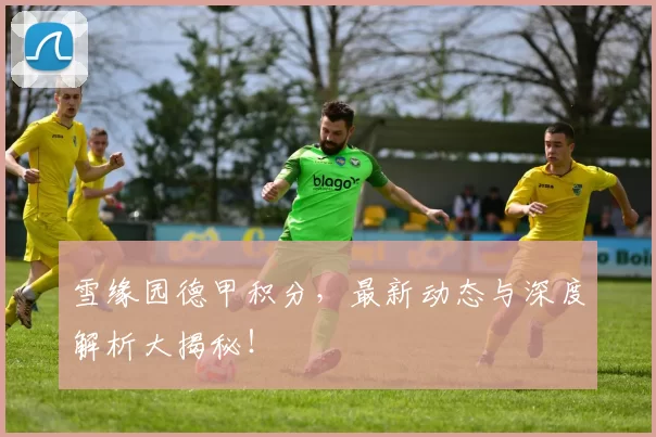 雪缘园德甲积分，最新动态与深度解析大揭秘！